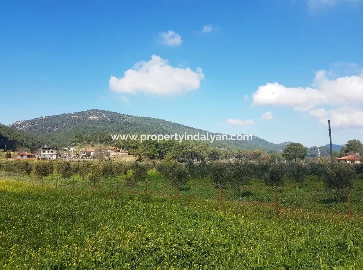 Land For Sale In Dalaman Honor Kircagedire