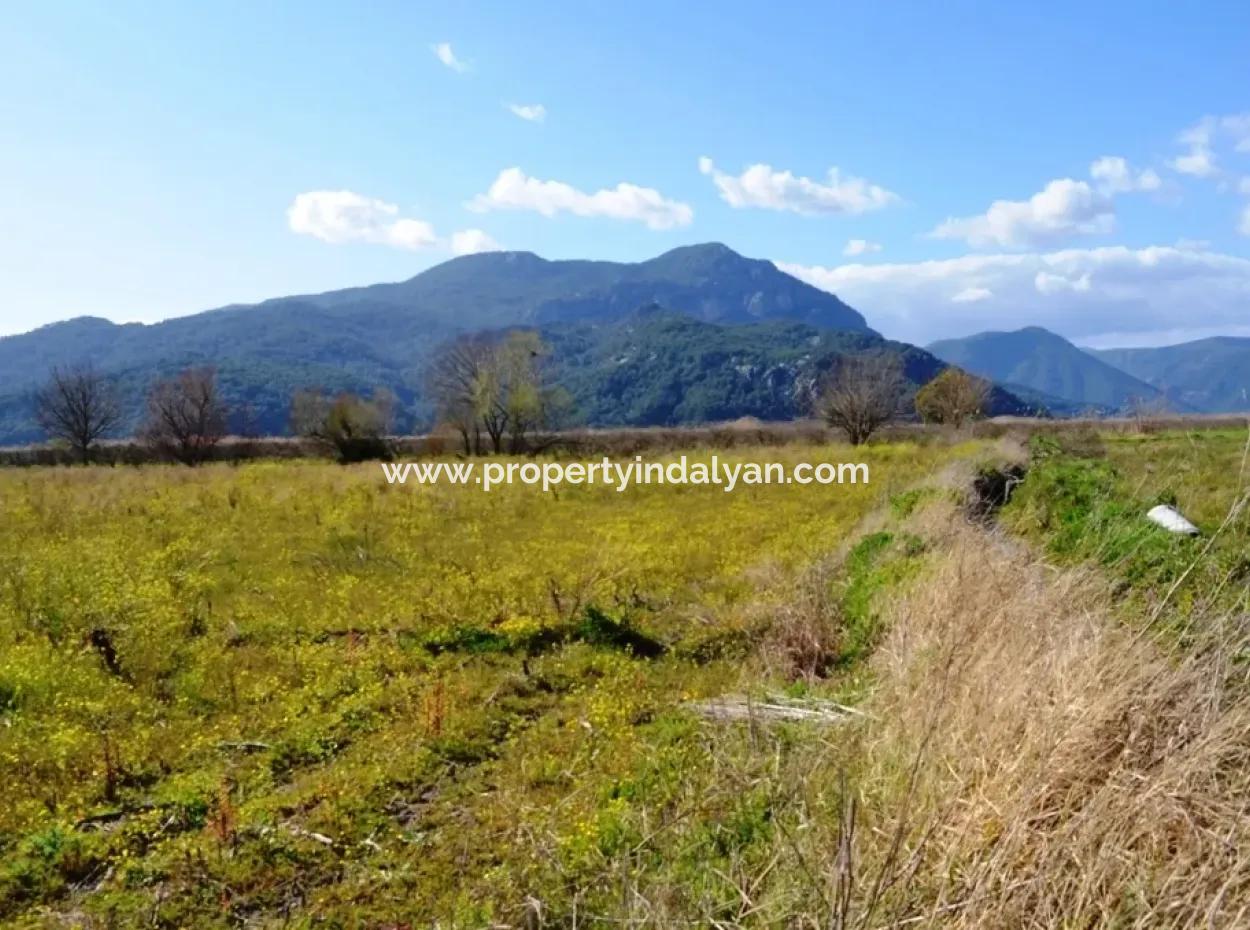 Farm For Sale Bargain In Dalyan