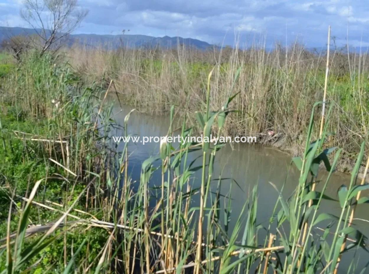 Farm For Sale Bargain In Dalyan