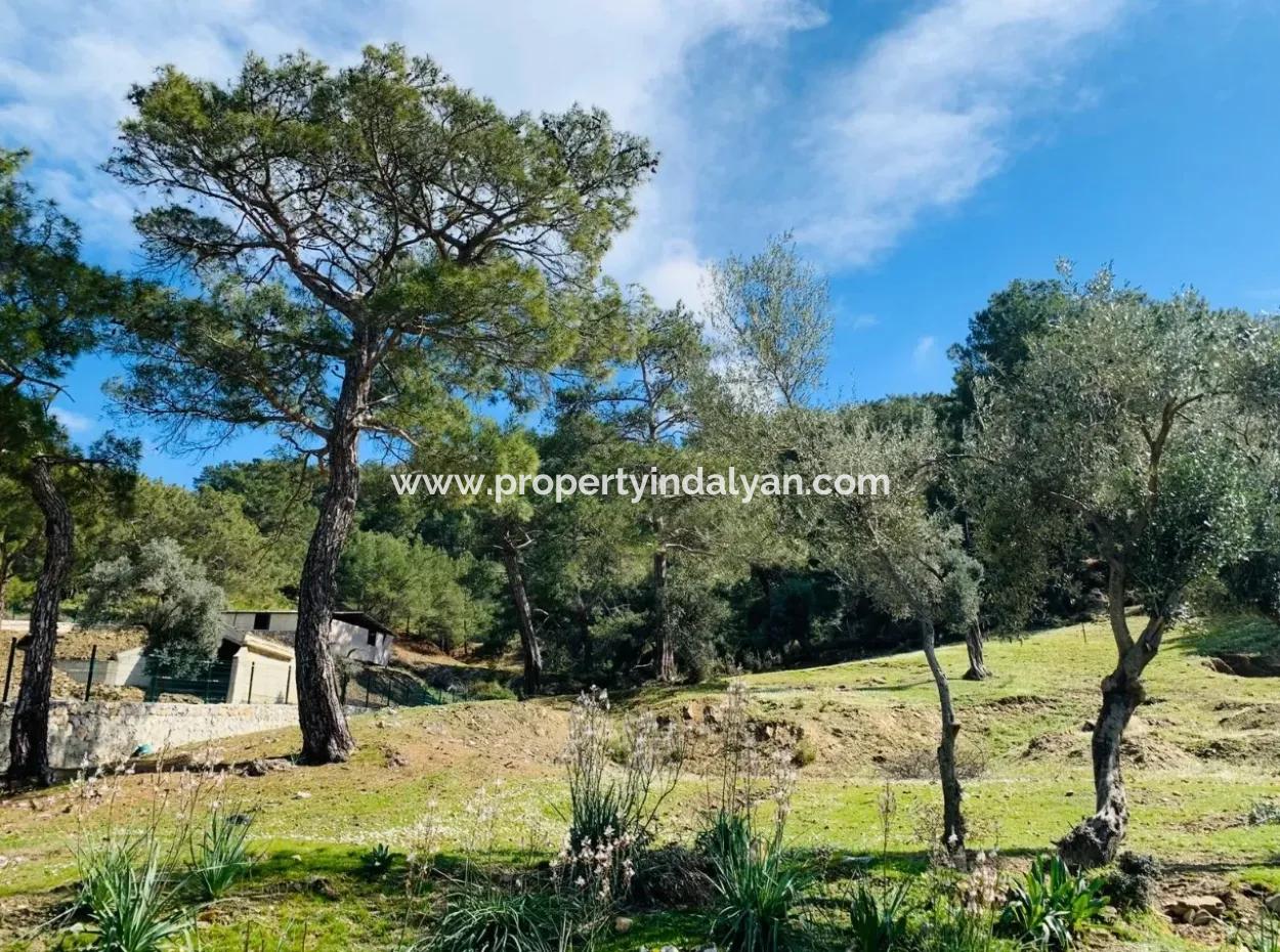 Detached Field For Sale In Ortaca Gökbel