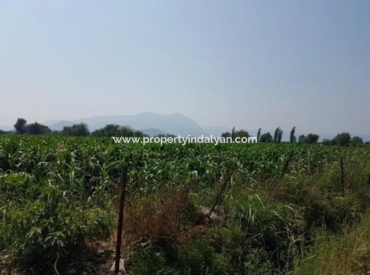 3000 M2 Land Suitable For Investment For Sale In Mugla Ortaca Archers