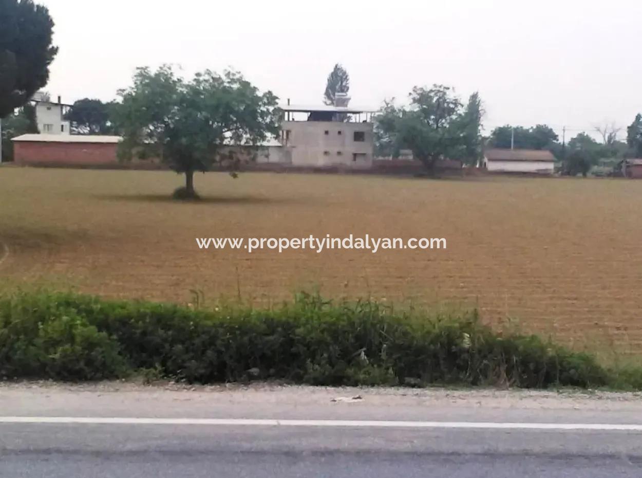 Commercial Zoned Land For Sale In Aydin Incirliova Diabetes