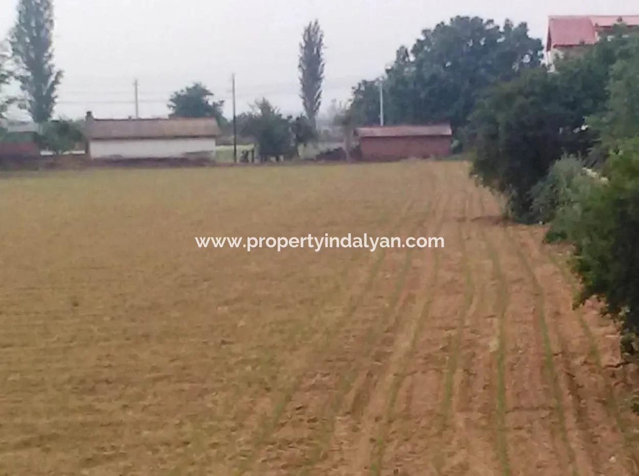 Commercial Zoned Land For Sale In Aydin Incirliova Diabetes