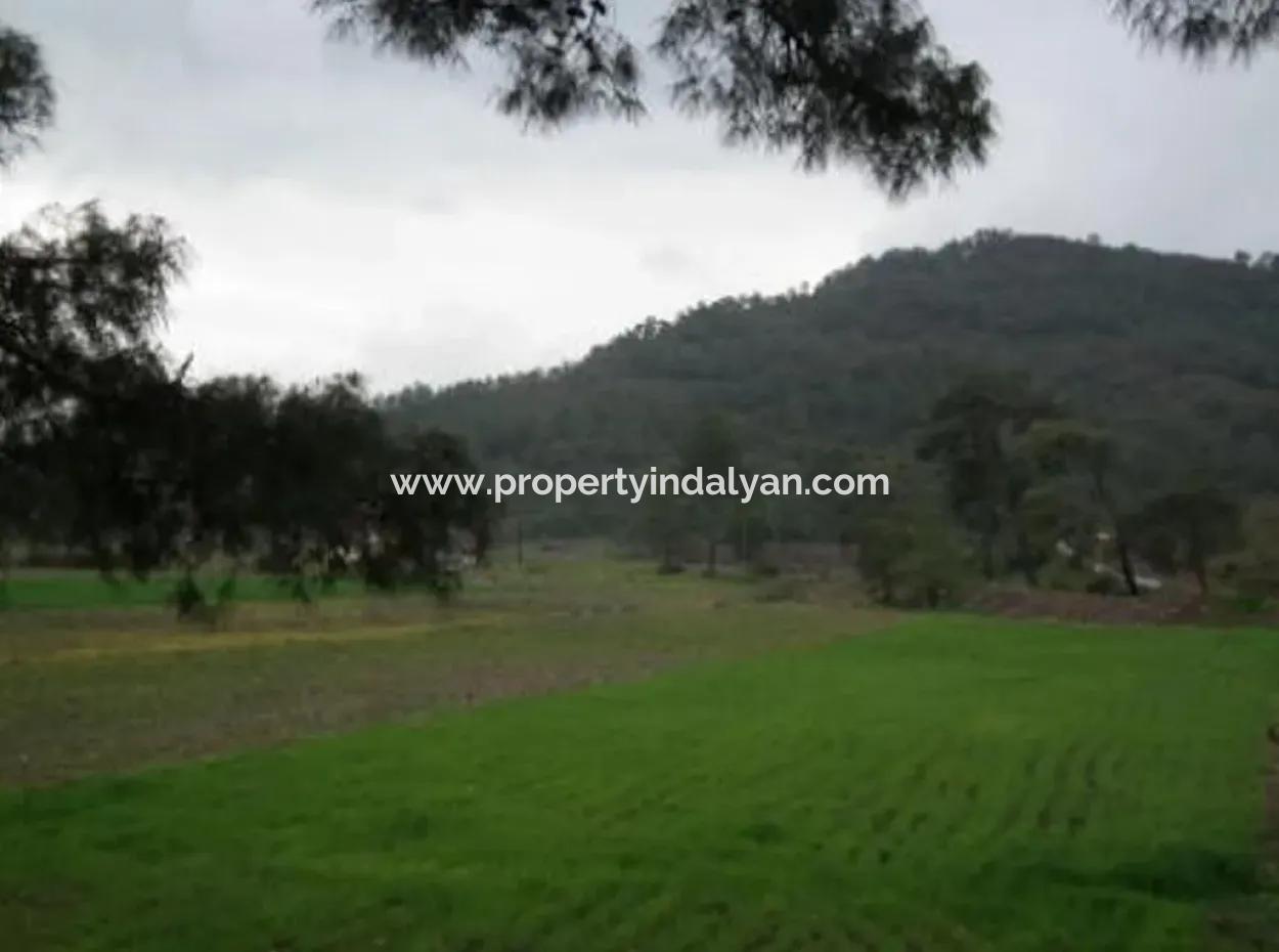 10,000 M2 Of Land Suitable For Investment Is For Sale In Ortaca Gölbasi