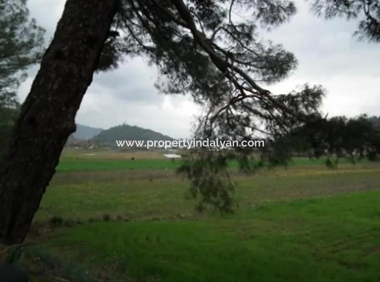 10,000 M2 Of Land Suitable For Investment Is For Sale In Ortaca Gölbasi