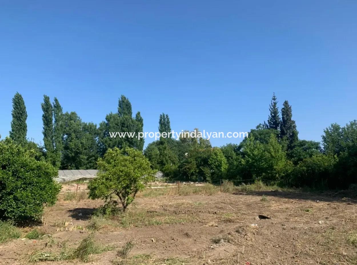 Villa 358 M2 Land For Sale In Oriya Also