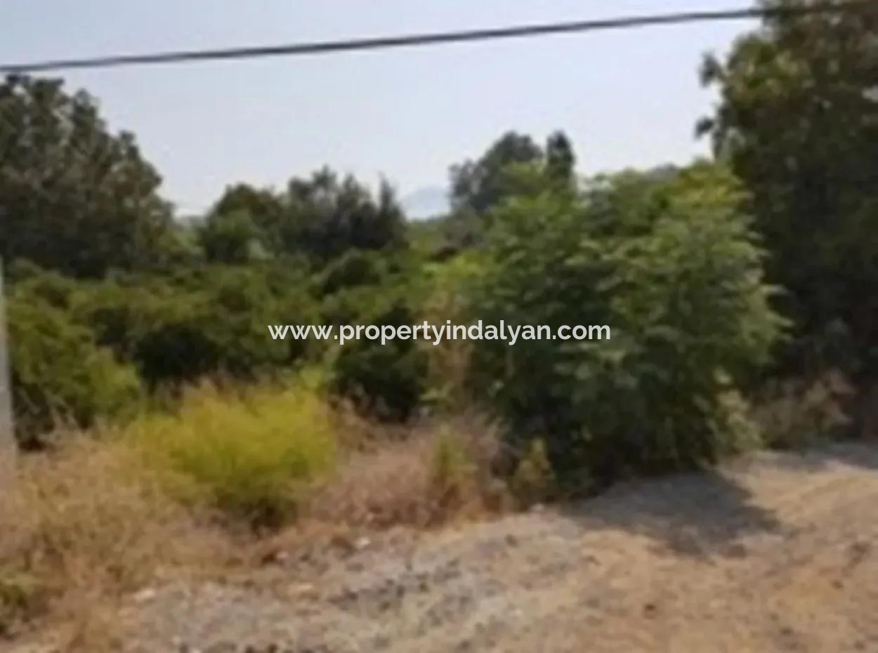 From The Main Road Land For Sale In Koycegiz Zeytinalani Zero