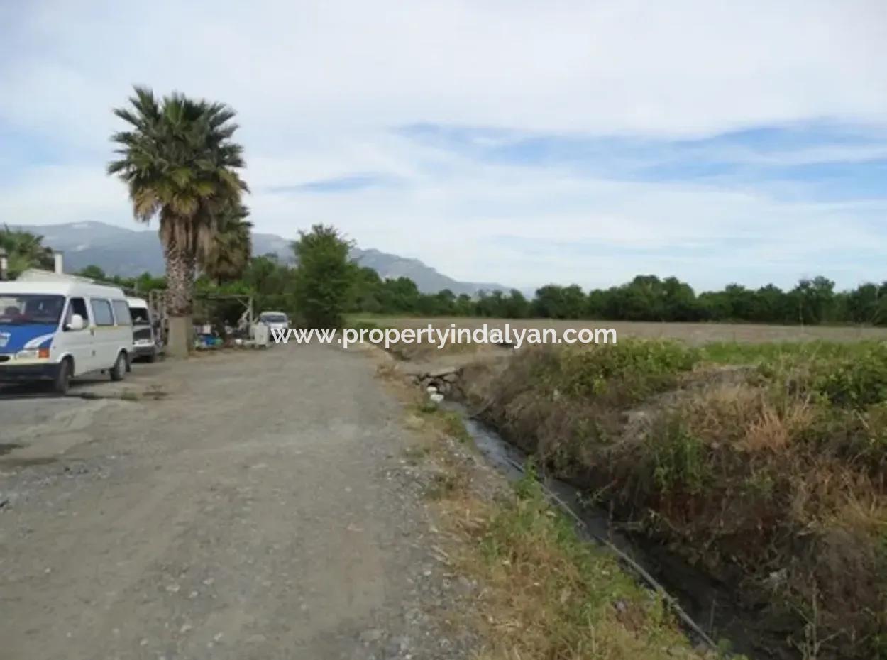 Also Suitable For Investment 31,175 M2 Land For Sale In Koycegiz Up