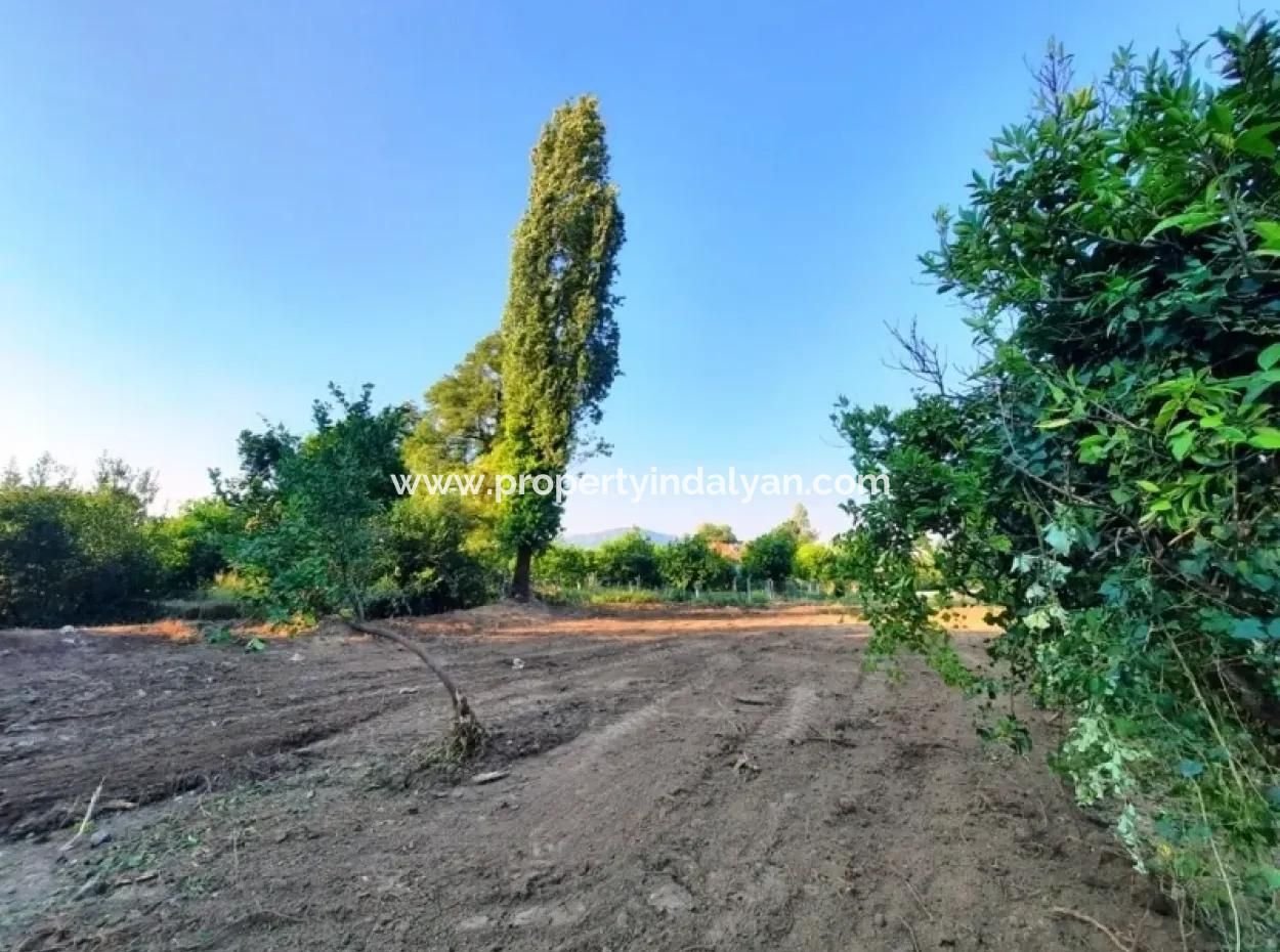 Archers Land For Sale With Title Deeds