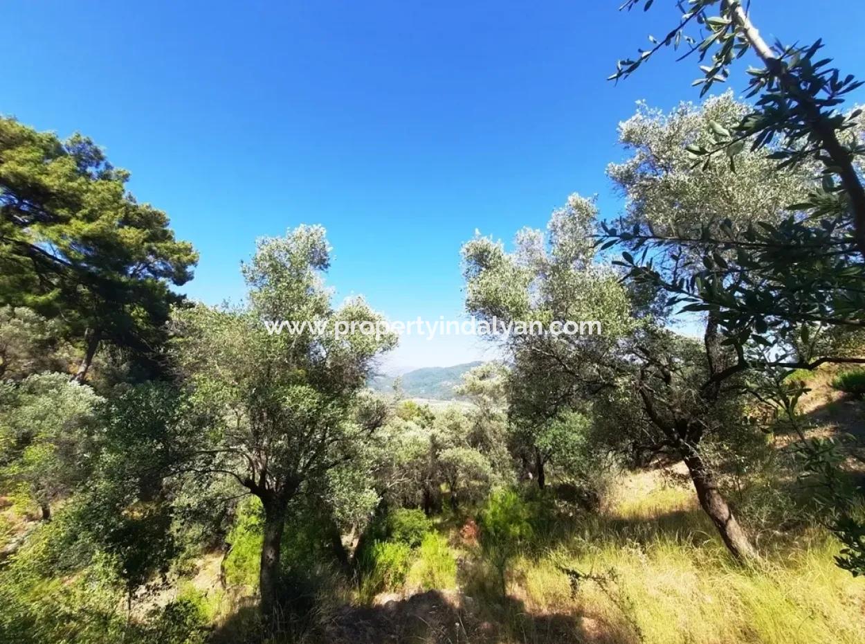 400 M2 Plot For Sale Bargain Ortaca Sarıgerme