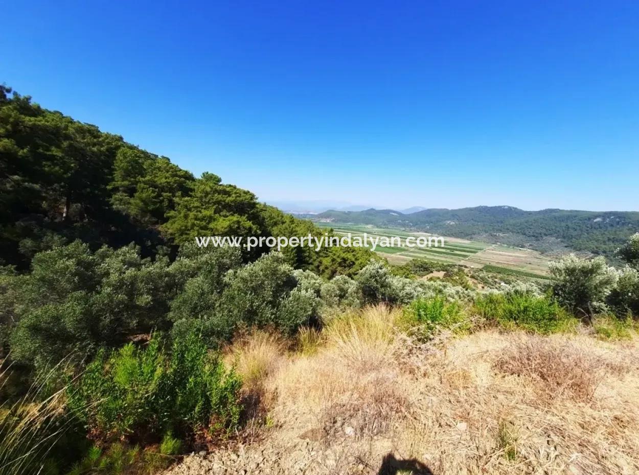 400 M2 Plot For Sale Bargain Ortaca Sarıgerme
