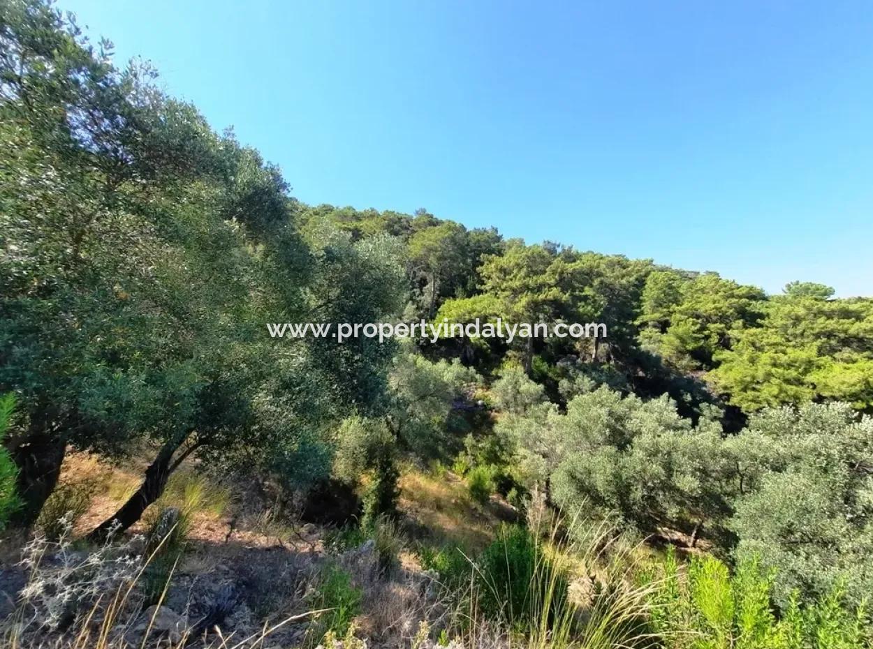 400 M2 Plot For Sale Bargain Ortaca Sarıgerme