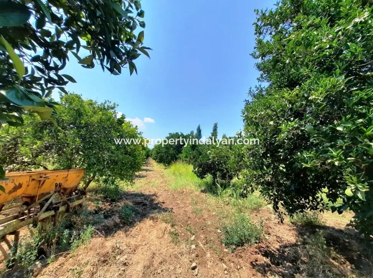 Village House For Sale In Koycegiz Dalyan Village