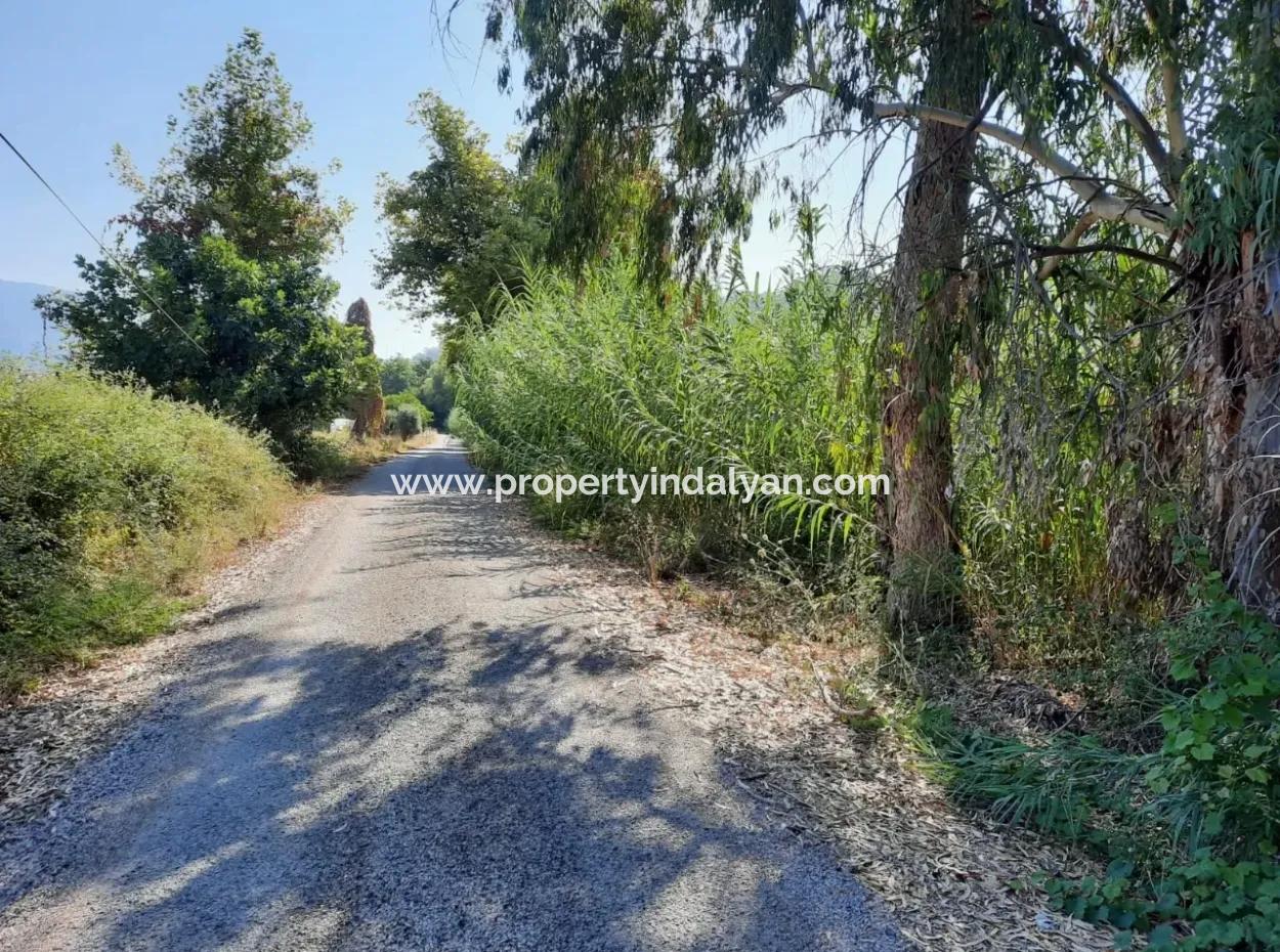 Vineyard Garden Zoning Land For Sale In Gocek Inlice