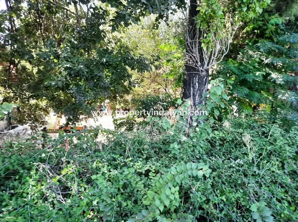 Zero Land For Sale On Ortaca Dyed