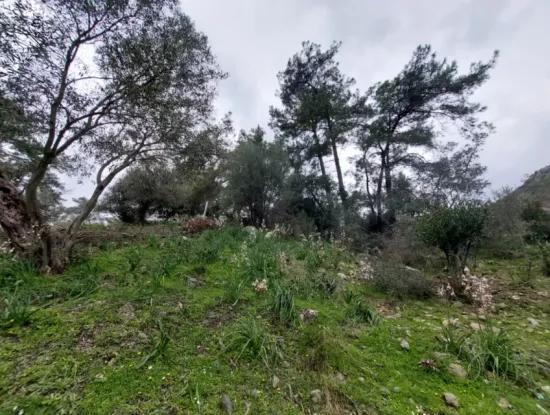 Ortaca Gökbelde Detached Nature In 626M2 Land For Sale