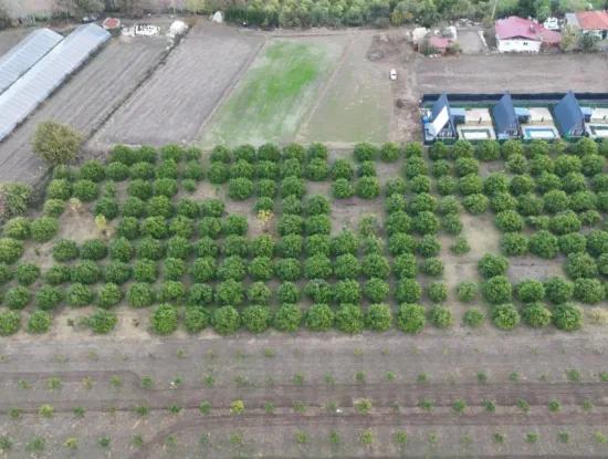 9750 M2 Land For Sale In Ortaca Okçular Zoning Plan Suitable For Investment