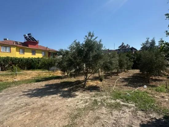 538 M2 Land For Sale In Ortaca Ekşiliyurt
