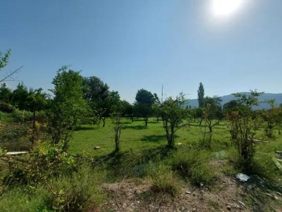 2.500 M² Detached Title Deed Investment Land For Sale In Ortaca Kemaliye