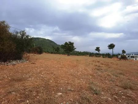 Detached Land With Lake Views For Sale In Köyceeğiz Zeytin Area