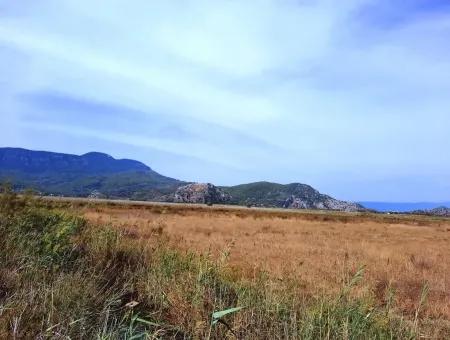Detached Field Close To Lake And Iztuzu Beach For Sale In Mugla Dalyan