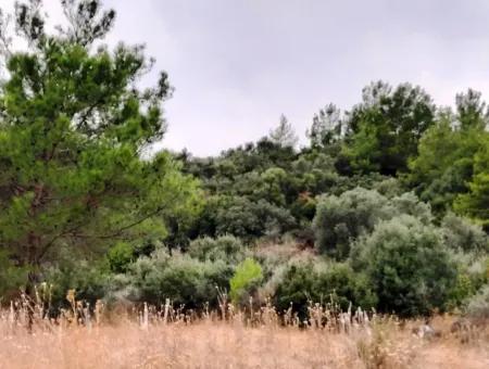 Mugla Ortaca Sarıgerme 880 M2 Full Sea And Nature View Plot For Sale