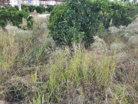 Mugla Dalyan Bargain Zoning Land For Sale