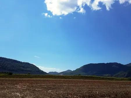 Fertile Bargain Land For Sale In Muğla Ortaca Güzelyurt