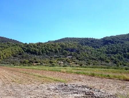 Fertile Bargain Land For Sale In Mugla Ortaca Güzelyurt