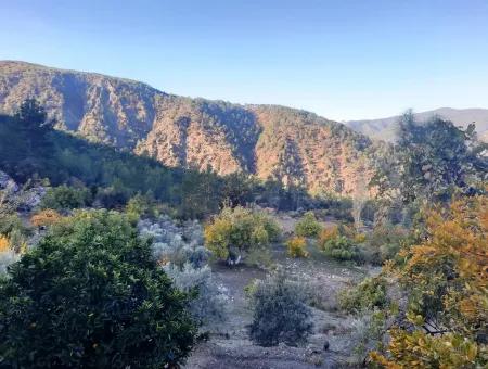 Mugla Dalaman Narli 1800 M2 Bargain Land For Sale