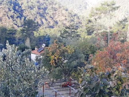 Mugla Dalaman Narli 1800 M2 Bargain Land For Sale