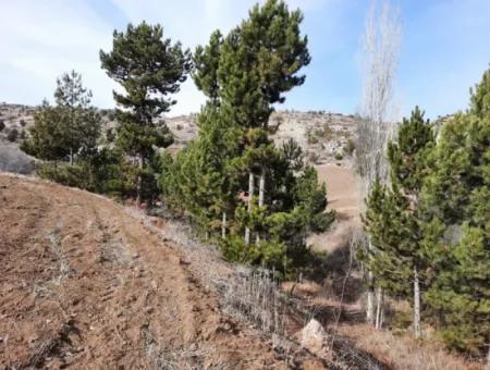 15.250 M2 Bargain Land For Sale In Denizli Çameli Cumaalan