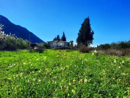 Mugla Ortaca Dalyan Is Also Fertile Land Suitable For 9 300 M2 Investment With Road Facades For Sale