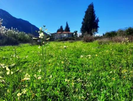 Mugla Ortaca Dalyan Is Also Fertile Land Suitable For 9 300 M2 Investment With Road Facades For Sale