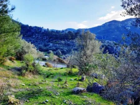 Mugla Dalyan Gokbel 1700 M2 Detached Land And Bungalow With Nature View