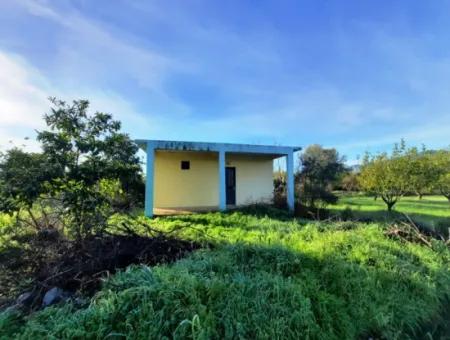 10 000 M2 Detached Lemon Garden For Sale In Ortaca Dalaklı