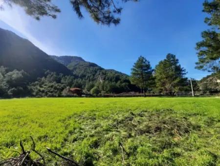 Mergenli For Sale In Ortaca Mountain Zero-Investment A Bargain Suitable Land