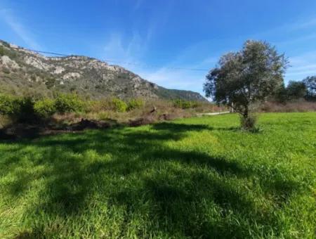 Mergenli For Sale In Ortaca Mountain Zero-Investment A Bargain Suitable Land