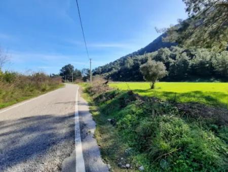 Mergenli For Sale In Ortaca Mountain Zero-Investment A Bargain Suitable Land