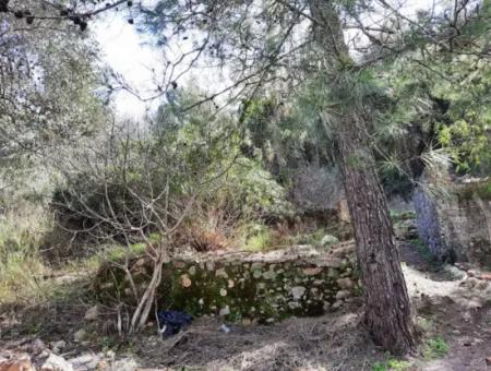 Ruined Stone Village House For Sale In Gökova And Its Land