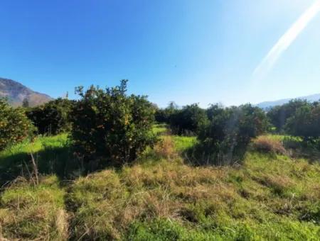 Mugla Archers Have 250 M2 Construction Rights For Sale On 1038 Plots