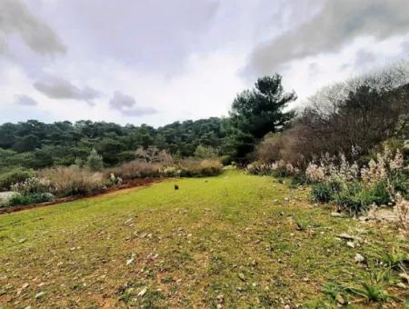 Dalyan Gökbel 13,100 M2 Field For Sale In Nature