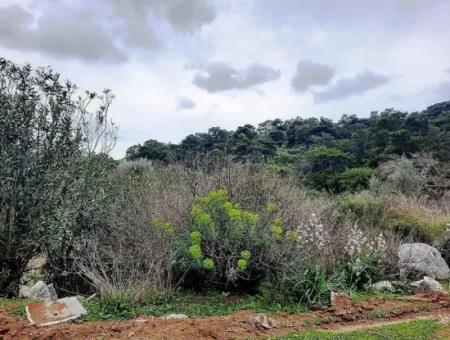 Dalyan Gökbel 13,100 M2 Field For Sale In Nature