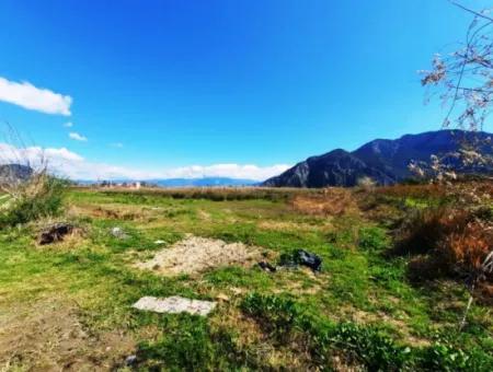 4830 M2 Land Near The Iztuzu Beach Road For Sale In Mugla Dalyan