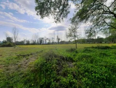 7668 M2 Bargain Land With Lake View For Sale In Köyceğiz Zeytinalani