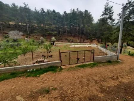 Köyceğinz Agla Yayla Opportunity 1050 M2 Zoning Land For Sale