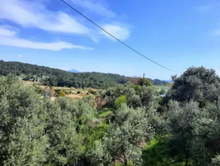 2 Parcels Of Land With 768 M2 Residential Development For Sale In Ortaca Sarıgerme