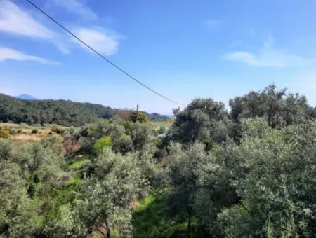 2 Parcels Of Land With 768 M2 Residential Development For Sale In Ortaca Sarıgerme
