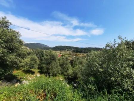 2 Parcels Of Land With 768 M2 Residential Development For Sale In Ortaca Sarıgerme