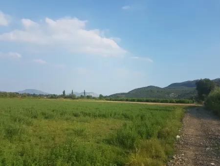 3700 M2 Fertile Field For Sale In Ortaca Fevziye